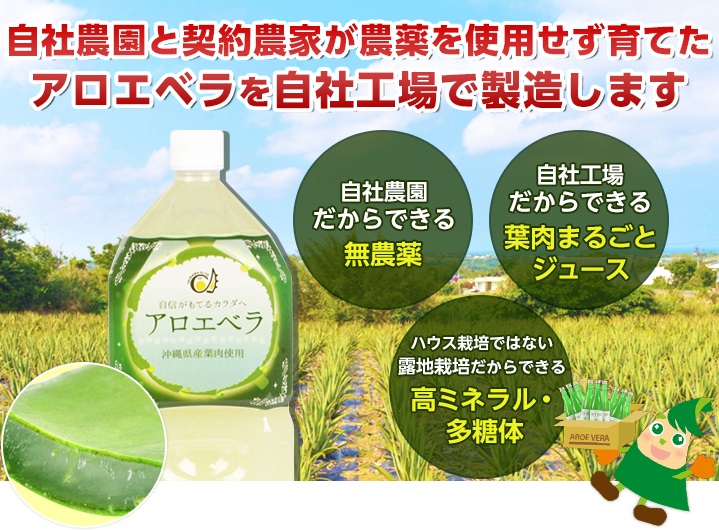 【送料無料】沖縄県産アロエベラ パック150ml×15個セット