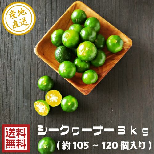 【訳あり】【新品未開封】沖縄　青切りシークァーサー　４本　賞味期限を確認下さい aogiri-sikwasa12n-s1.jpg